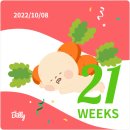 명가들깨칼국수 이미지