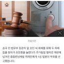 &#34;조민 오피스텔 초인종 누른 종편 기자 무죄, &#39;정당한 취재&#39;&#34;(TV조선) 이미지