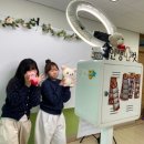 도척초등학교 이미지