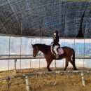 퀸즈승마장 이미지