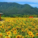 낙동강체육공원 족구장 화장실 이미지