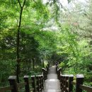 도덕산공원(야외음악당) 이미지