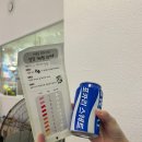 [잠실새내] 실내 데이트 추천!_서울숲 클라이밍 잠실점 일일체험 후기(가격, 복장)