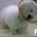 샐리동물병원 이미지