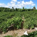 탐라공인중개사사무소 이미지