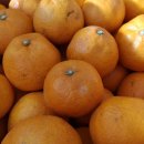 홍순농장 이미지