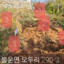 불은면-3 이미지