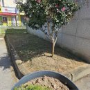 아산시선거관리위원회 이미지