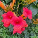 심방마을경로당 이미지