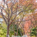 아야진동물병원 | 아야진해변 고성카페 시크릿블루 베이커리카페, 사이코지만 괜찮아 촬영지