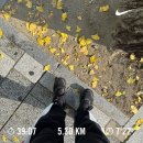 조앤조숲요양병원 | 11월 일상기록 중간 결산