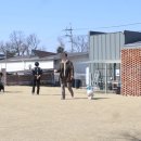 인생개컷 이미지