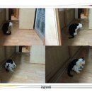 그루밍원투 이미지