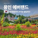 팡팡차유리 | 용인 에버랜드 자유이용권 할인 입장권 가격 워터팡팡 주차장 꿀팁
