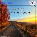 송학장터관리사무소 | 숲속 캠핑 맛집 합천 황매산 별쿵 캠핑장 쏟아지는 별 은하수 구경은 덤으로