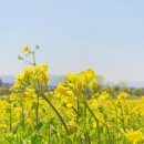 북구청건너 버스정류장 이미지