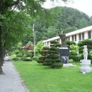무풍초등학교 Daum카페