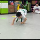 경희대석사 흑룡태권도 이미지