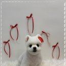 멍그루밍 이미지