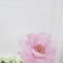 대구경북디자인기업협회 이미지