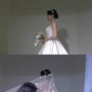 씨앤엘웨딩아트컴퍼니 이미지