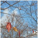 새싹유치원 이미지