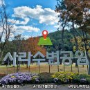 산책갈까? | 오늘 나들이 어디로 갈까?) 기장 사라수변 공원 주말데이트 후기 / 부산 산책맛집 완전 인정