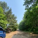 푸른소리오션 이미지