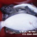 킹콩낚시 이미지