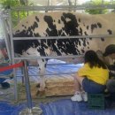 오세요목장 이미지