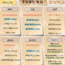 2024년 2월 13일 내일 주식 단타 종목(시가기준 1~3%) 이미지