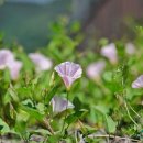 우륵문화마당 이미지