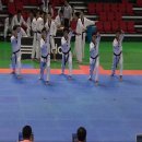 인하코리아태권도 이미지