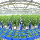 종합농장 이미지