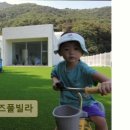 키키디디 이미지