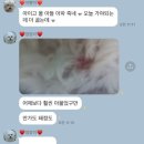 이마트24 안산본오센터점 | 일상 기록[5/24-6/9]