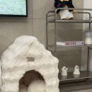 몽글몽글 펫 이미지