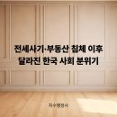 도안더리브오뚜기공인중개사사무소 | “전세 들어갔다 인생 망했다”… 요즘 한국 청년들 현실ㅣ집 믿고 계약했다가 보증금 전부 날린 사람들...