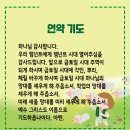 20240408_바벨론으로 간 RT(다니엘1:8-9) 이미지