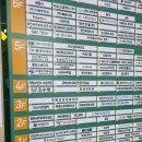 정글비위례