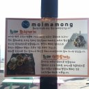 우도몬딱