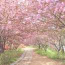 완산-3 이미지