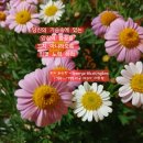 삶에 꼭 필요한 신념과 각오 이미지