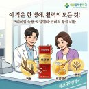 에코유익한약국 네이버블로그