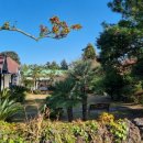 대흘샬레 이미지