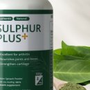 유황푸드 이미지