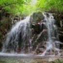 제6회 정기산행 함양 영취산 &amp; 부전계곡 물놀이 이미지