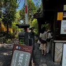 선교사 문화관광지(사택지) | 항저우 여행 영은사 &amp; 롱징 녹차마을 관광