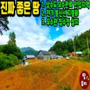 여주-0622 네이버블로그
