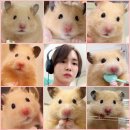 엘르헤어샾 - 구미시 | 기범 미니 3집 Pleasure Shop 활동 주간 일기🩷